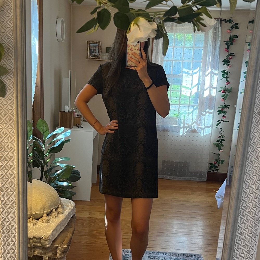 printed shift dress